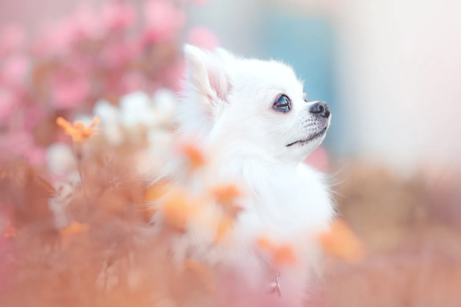 選べる複数のプランを用意しています