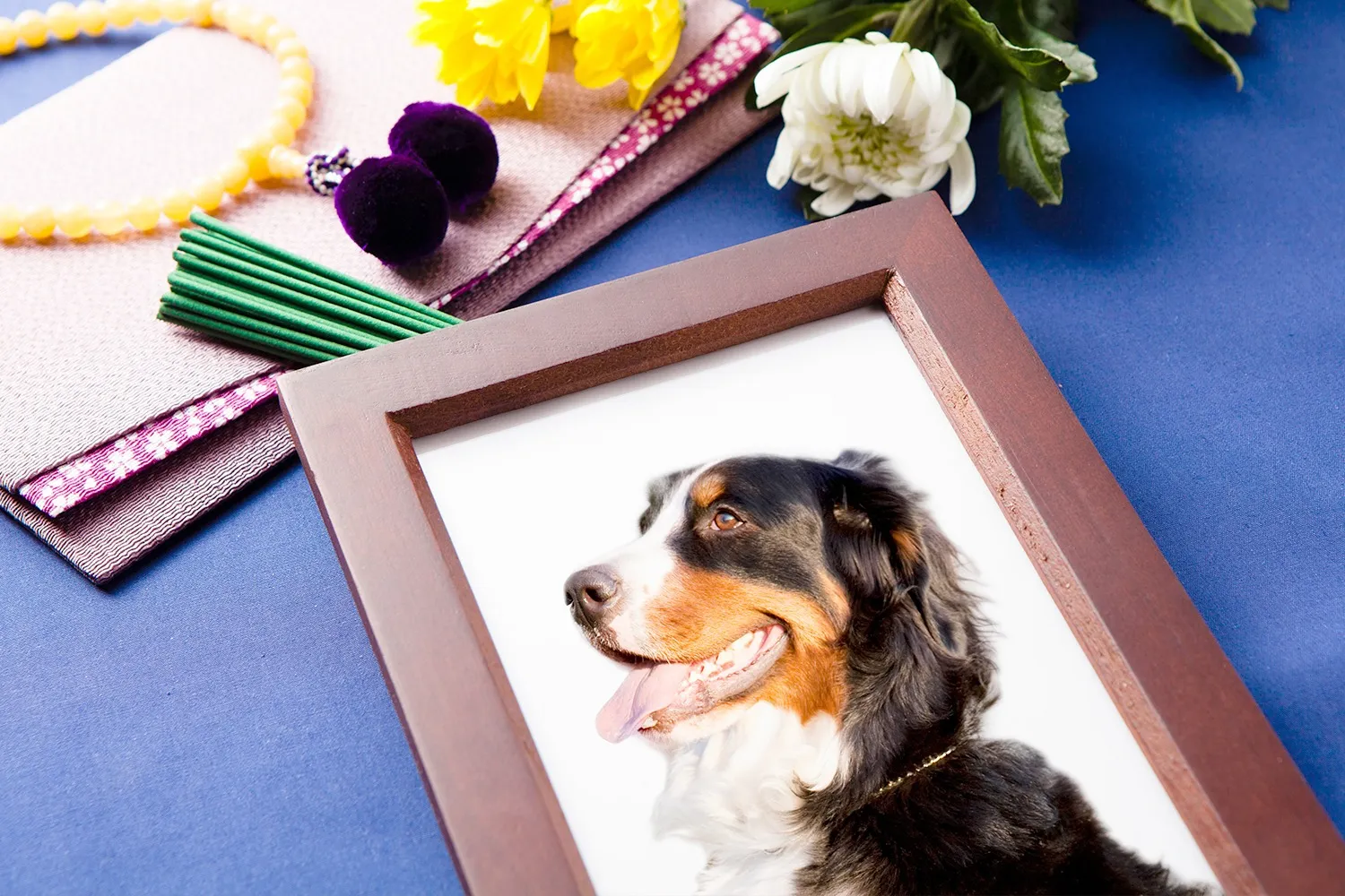 ペットの種類や重量によって料金を設定